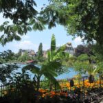 【スイス留学体験談】未来を拓く！ラグジュアリービジネスサマープログラムの魅力