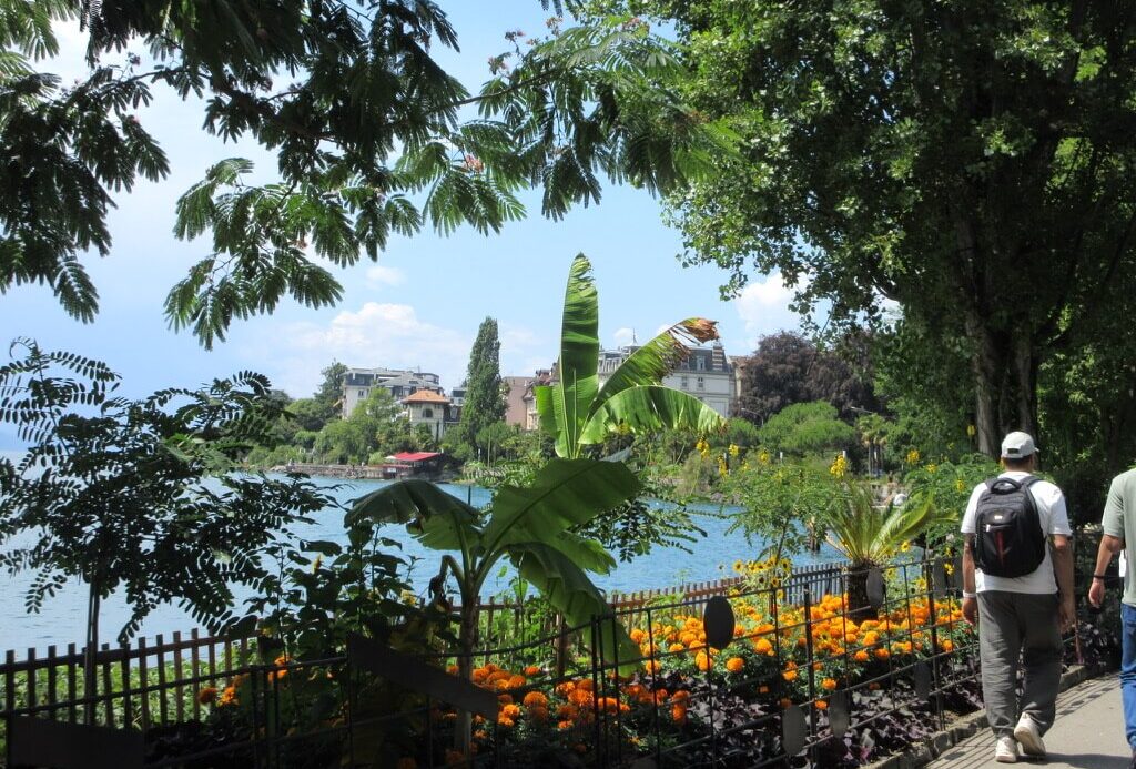 【スイス留学体験談】未来を拓く！ラグジュアリービジネスサマープログラムの魅力